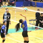 Thumbnail of post image 173