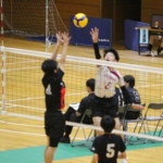 Thumbnail of post image 108